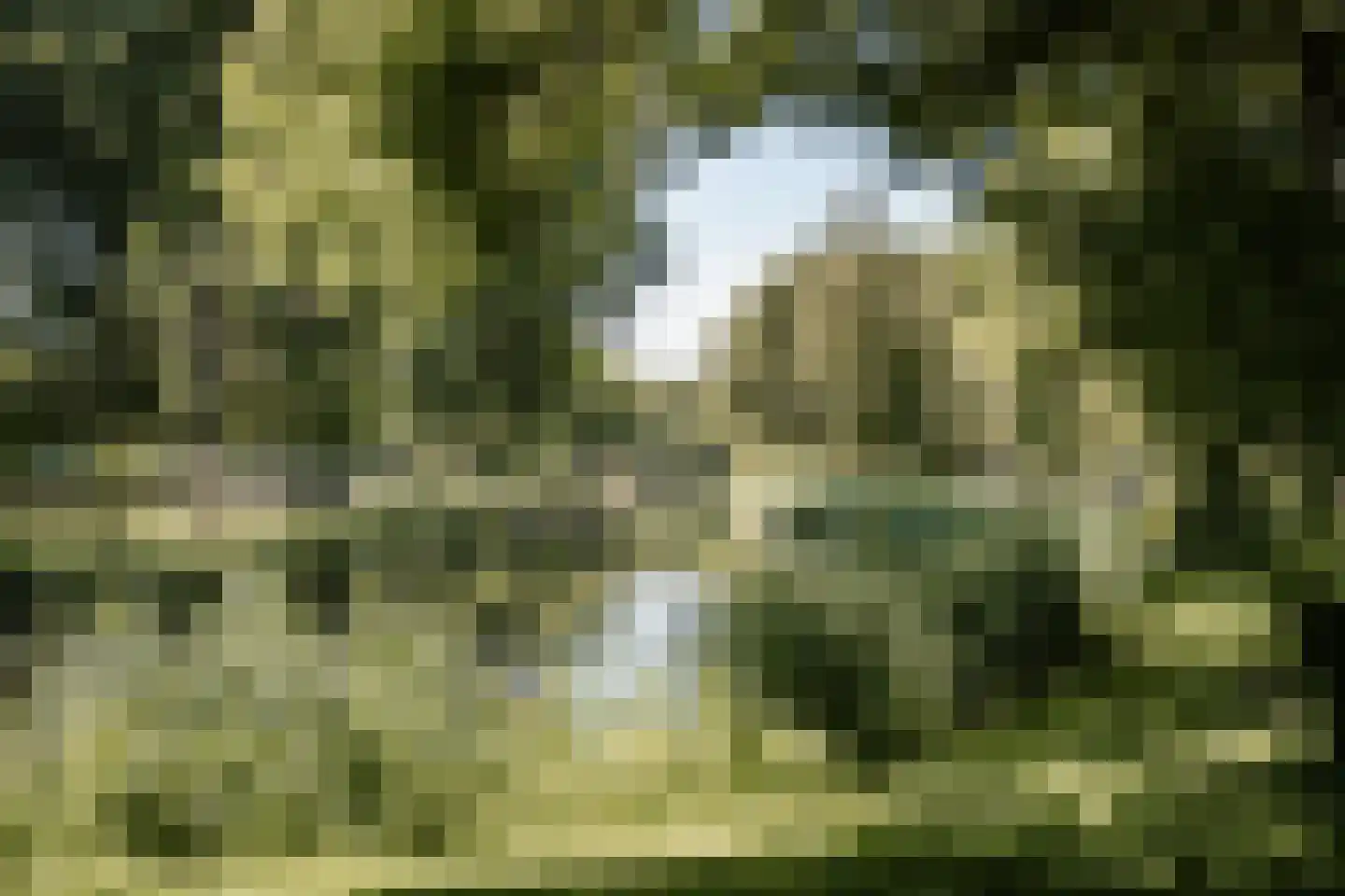 M H Tromplaan 2 Bennebroek thumbnail 34