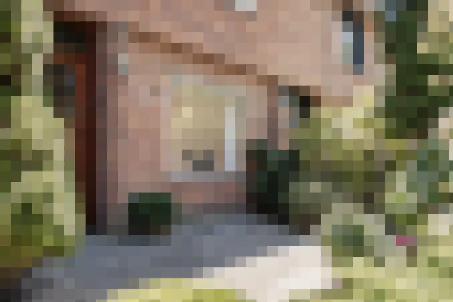 M H Tromplaan 2 Bennebroek thumbnail 6