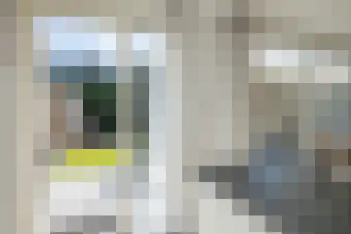 M H Tromplaan 20 Bennebroek thumbnail 22