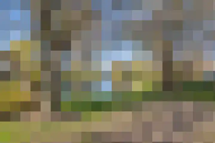 M H Tromplaan 20 Bennebroek thumbnail 61