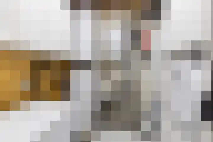 M.H. Trompstraat 1 Roodeschool thumbnail 21