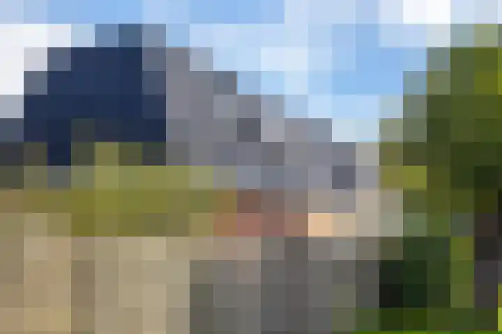 M.H. Trompstraat 1 Roodeschool thumbnail 33