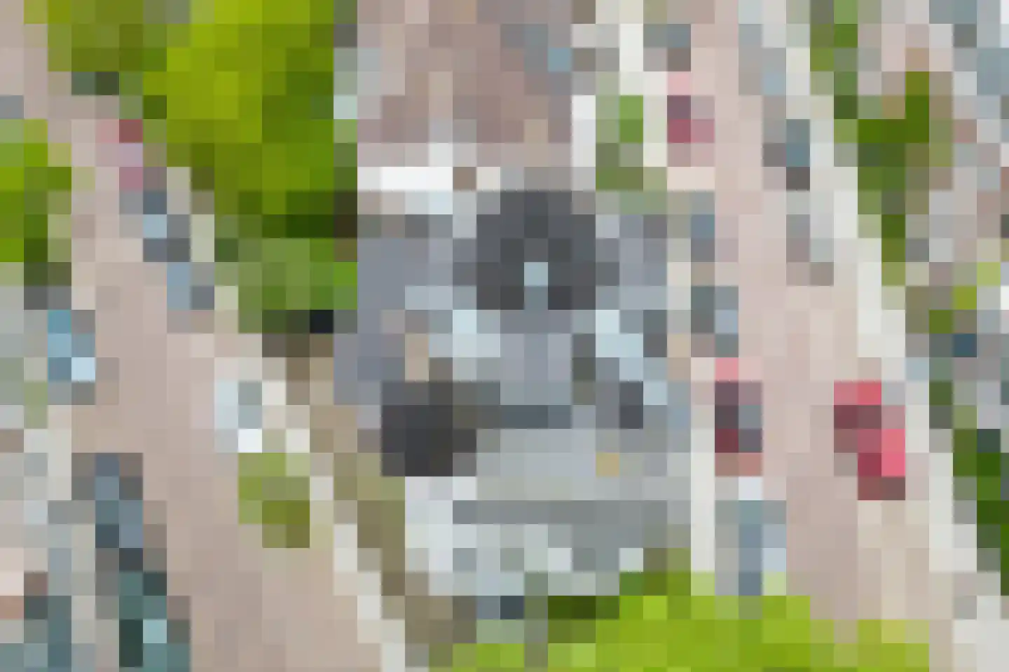 M.H. Trompstraat 1 Utrecht thumbnail 17