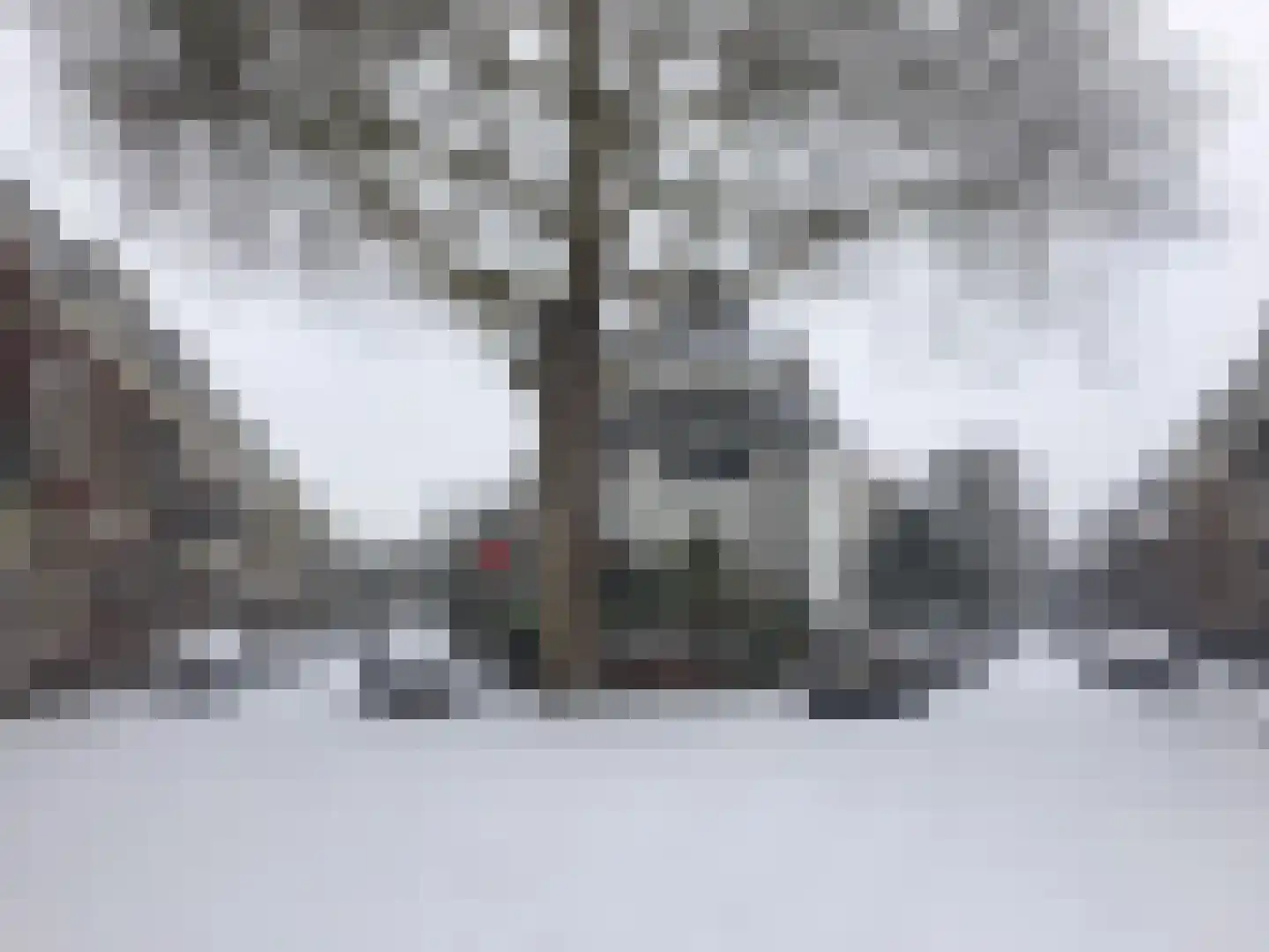 M.H. Trompstraat 1 Utrecht thumbnail 18