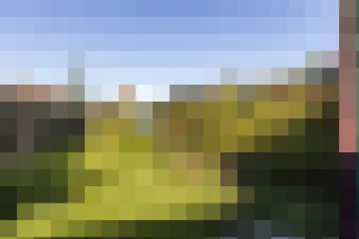 M.H. Trompstraat 11 Delfzijl thumbnail 17