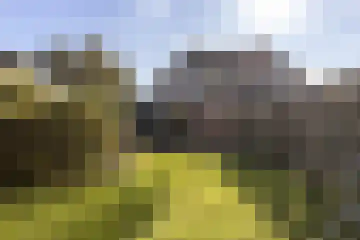 M.H. Trompstraat 11 Delfzijl thumbnail 18