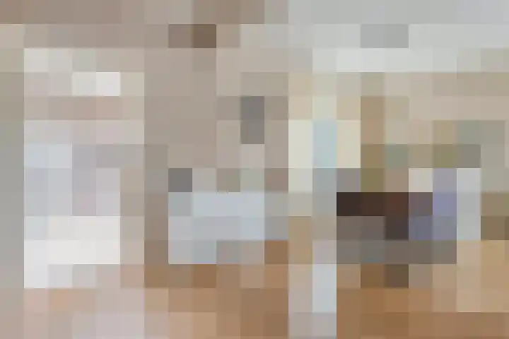 M.H. Trompstraat 15 Wierden thumbnail 11