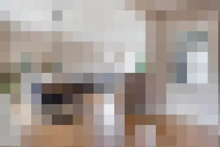M.H. Trompstraat 15 Wierden thumbnail 12