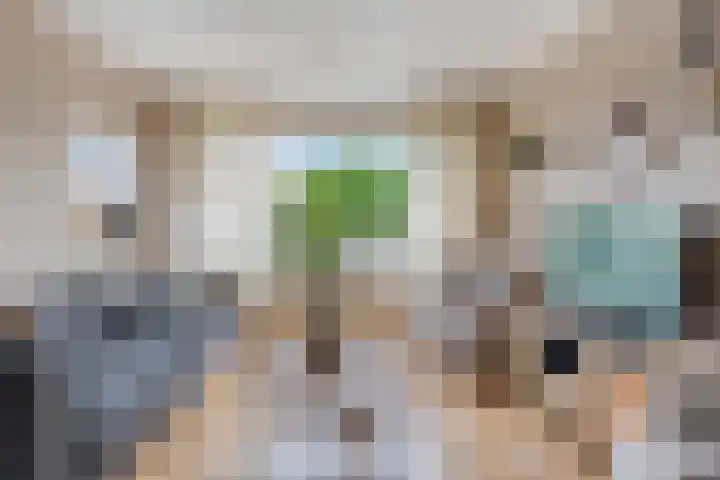 M.H. Trompstraat 15 Wierden thumbnail 19