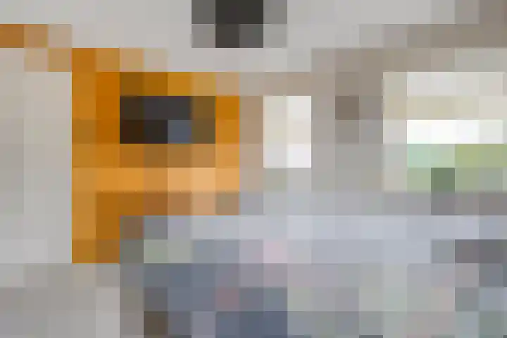 M.H. Trompstraat 15 Wierden thumbnail 23