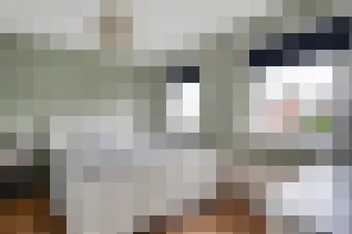 M.H. Trompstraat 15 Wierden thumbnail 25