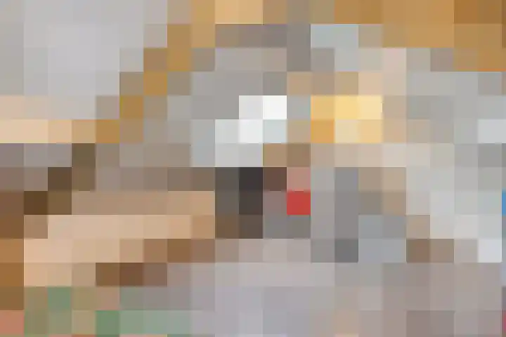 M.H. Trompstraat 15 Wierden thumbnail 28
