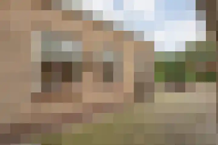 M.H. Trompstraat 15 Wierden thumbnail 30