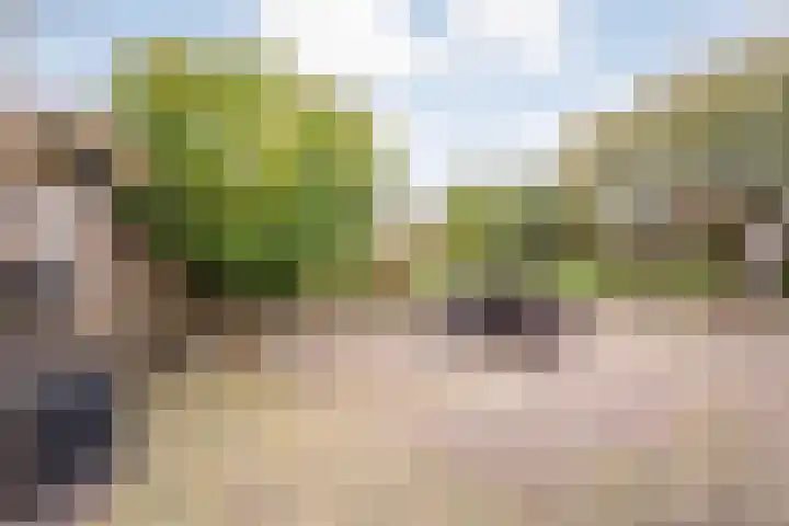 M.H. Trompstraat 15 Wierden thumbnail 31