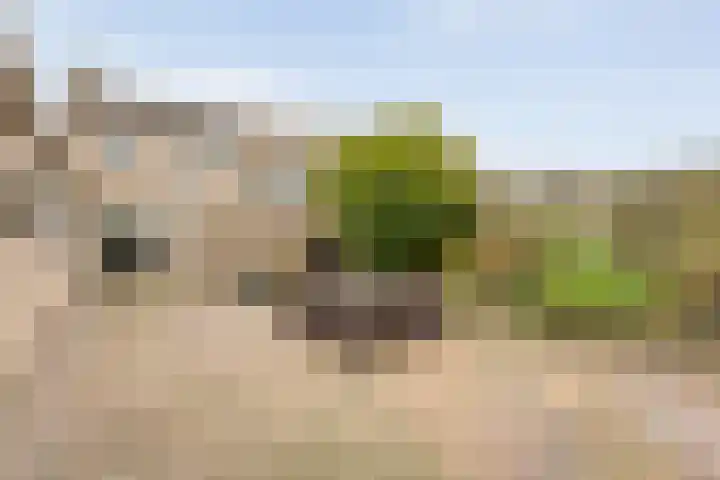 M.H. Trompstraat 15 Wierden thumbnail 32