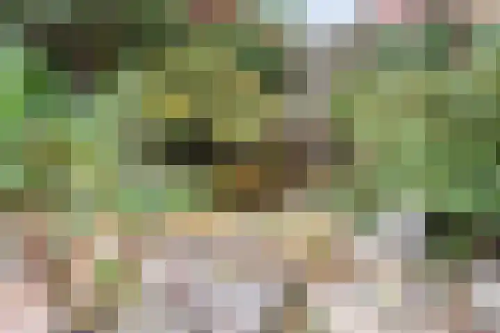 M.H. Trompstraat 15 Wierden thumbnail 36