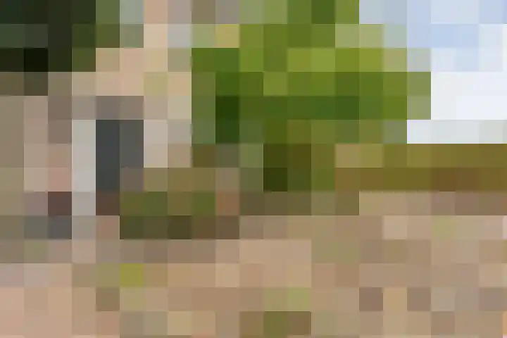 M.H. Trompstraat 15 Wierden thumbnail 6