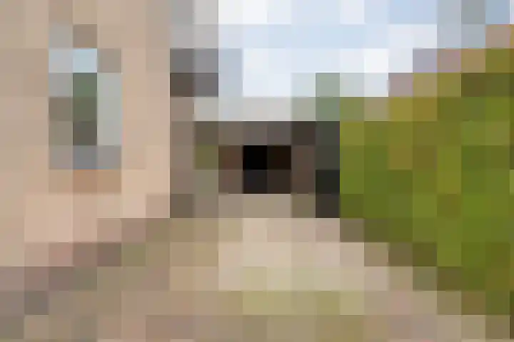 M.H. Trompstraat 15 Wierden thumbnail 7