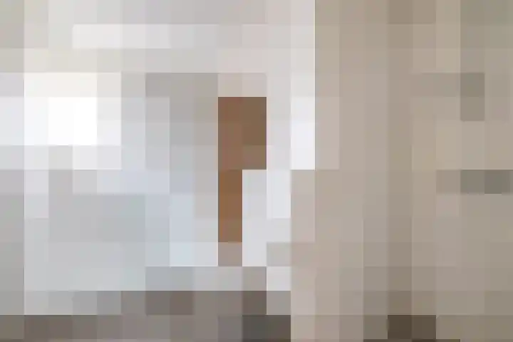 M.H. Trompstraat 19 Roodeschool thumbnail 22