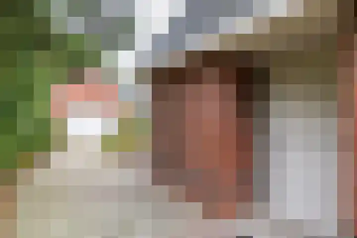 M.H. Trompstraat 19 Roodeschool thumbnail 39
