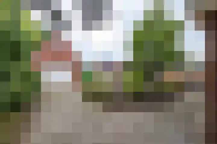 M.H. Trompstraat 19 Roodeschool thumbnail 42