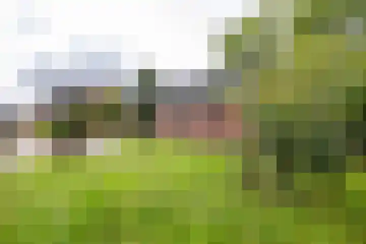 M.H. Trompstraat 19 Roodeschool thumbnail 47