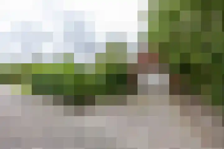 M.H. Trompstraat 19 Roodeschool thumbnail 49