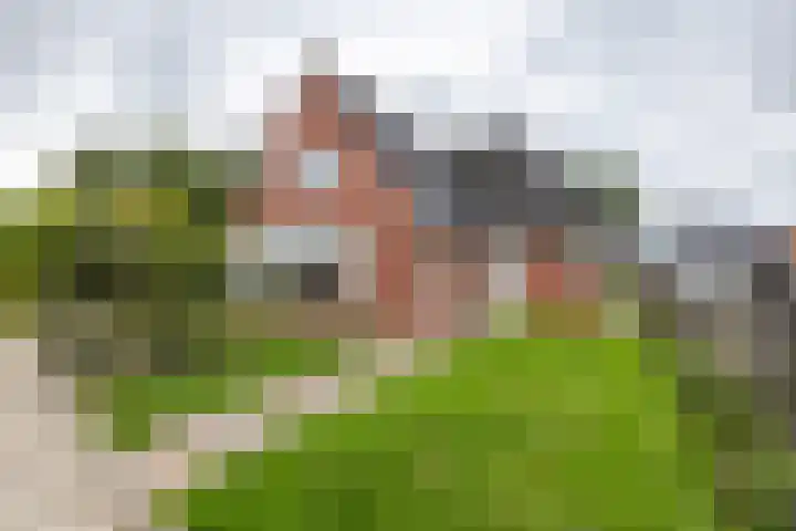 M.H. Trompstraat 19 Roodeschool thumbnail 54