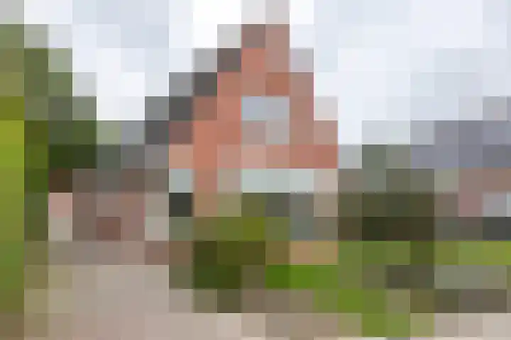 M.H. Trompstraat 19 Roodeschool thumbnail 55