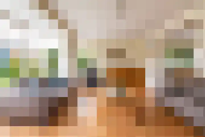 M.H. Trompstraat 19 Roodeschool thumbnail 6