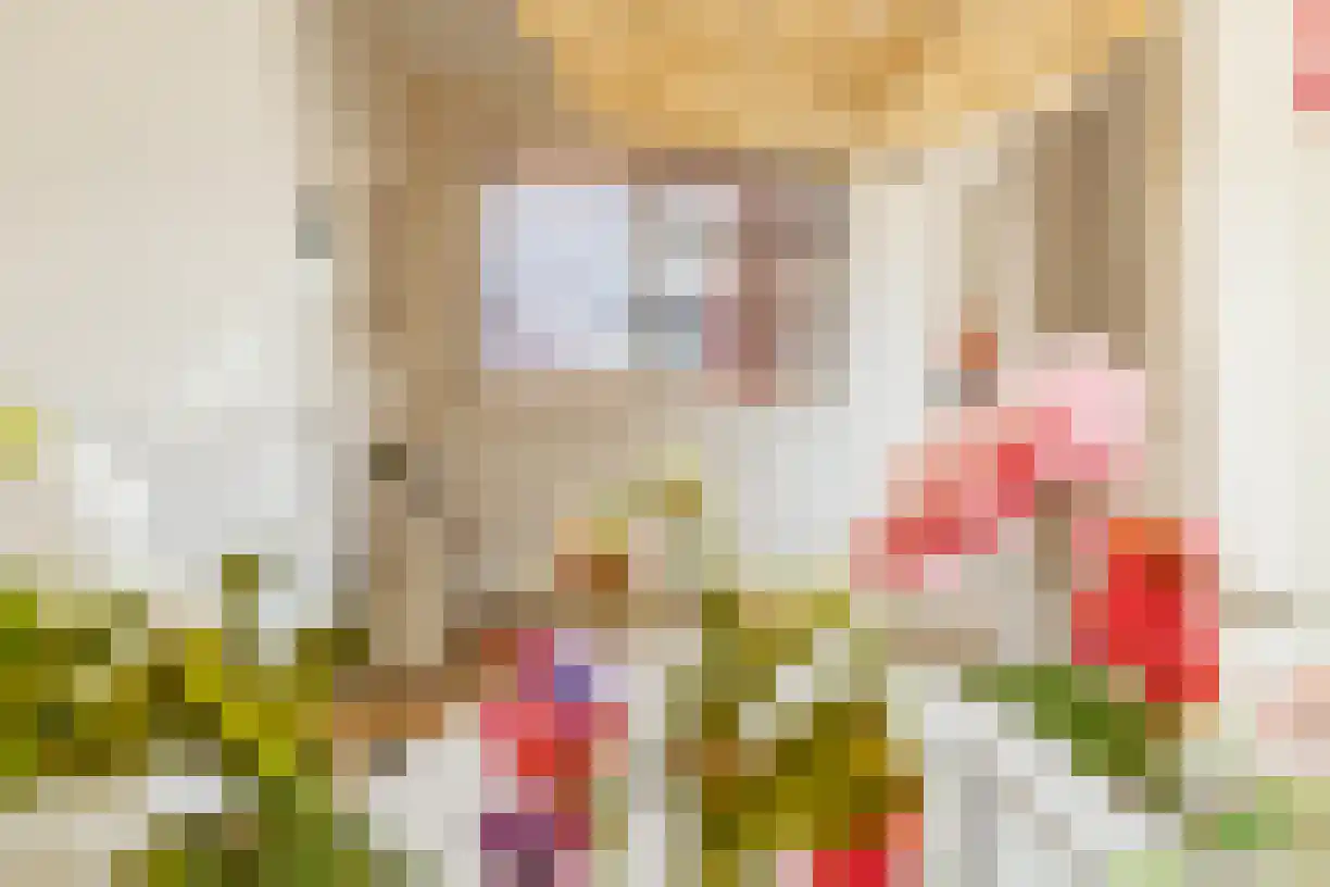 M.H. Trompstraat 2 Wierden thumbnail 14