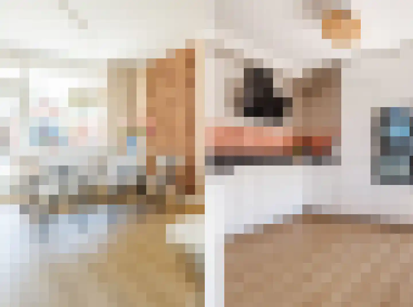 M.H. Trompstraat 2 Wierden thumbnail 16