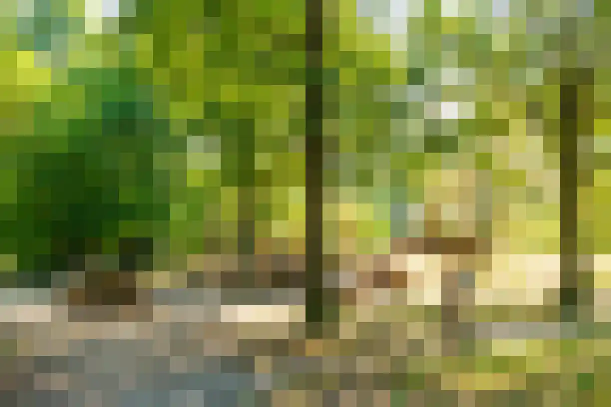 M.H. Trompstraat 2 Wierden thumbnail 48