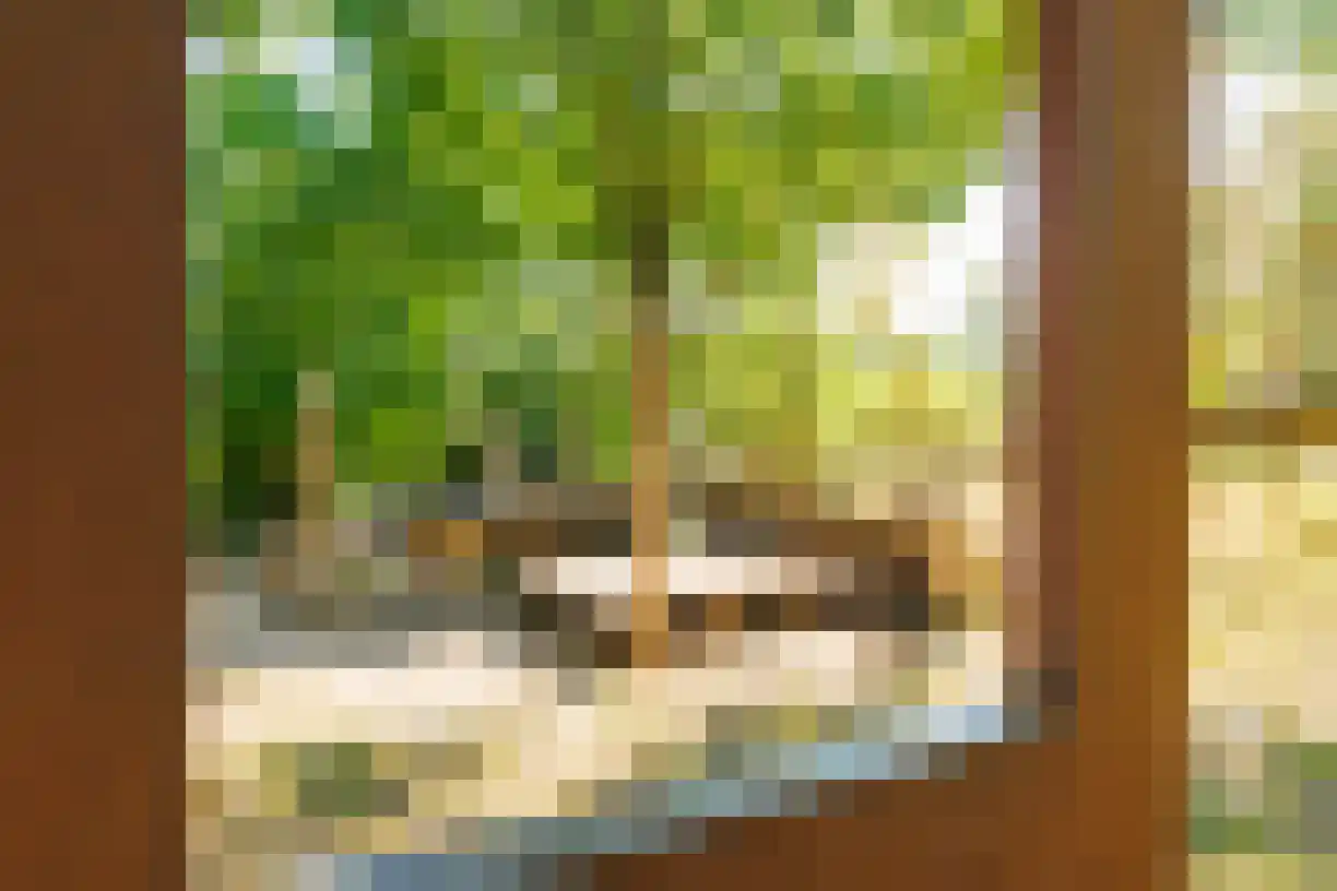 M.H. Trompstraat 2 Wierden thumbnail 50