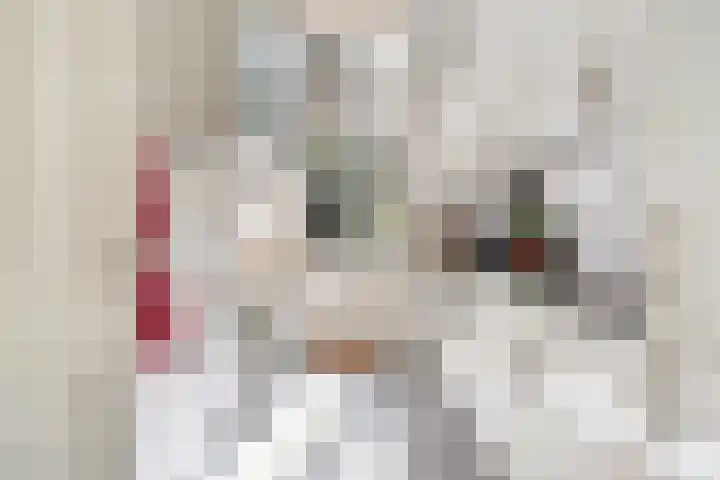 M.H. Trompstraat 20 Utrecht thumbnail 21