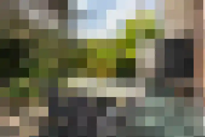 M.H. Trompstraat 20 Utrecht thumbnail 24