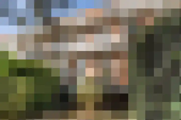 M.H. Trompstraat 20 Utrecht thumbnail 28