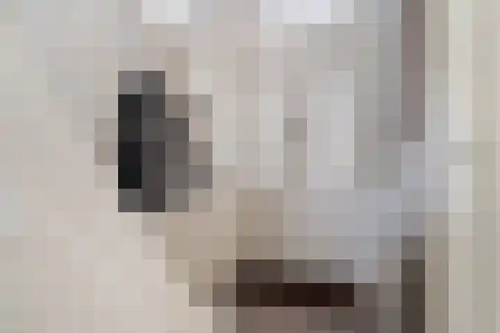 M.H. Trompstraat 20 Utrecht thumbnail 7