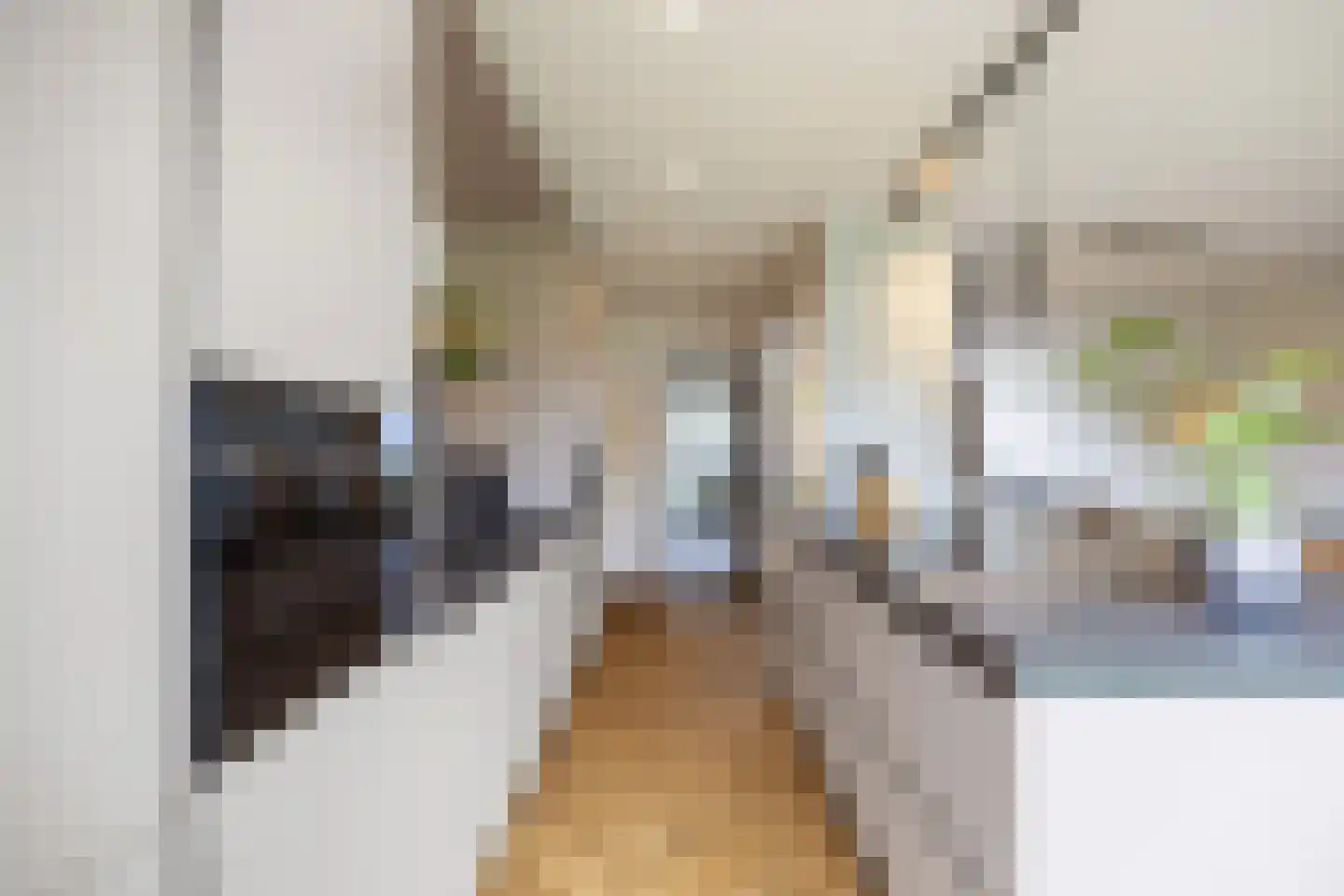 M H Trompstraat 3 Zuidhorn thumbnail 13