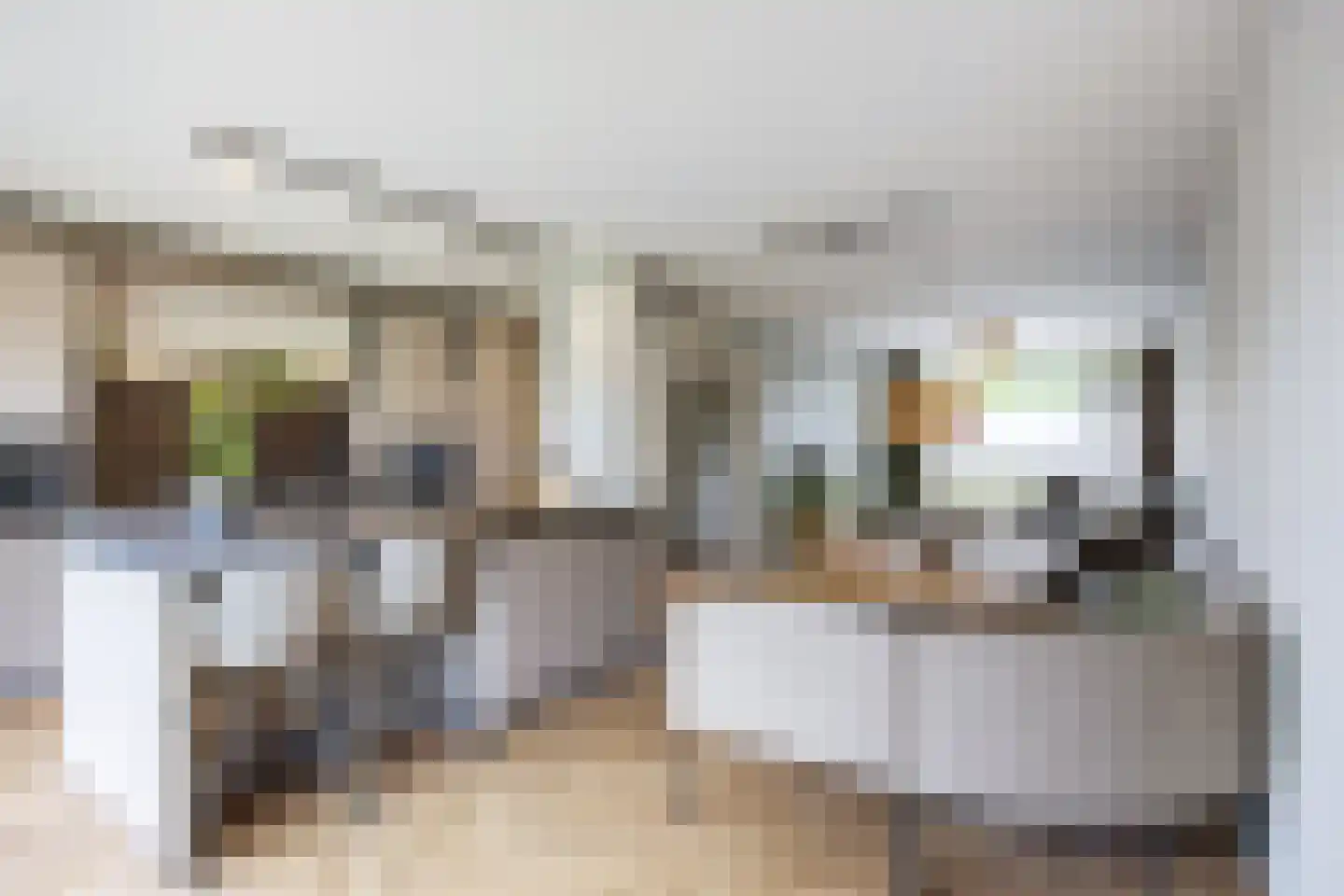 M H Trompstraat 3 Zuidhorn thumbnail 15