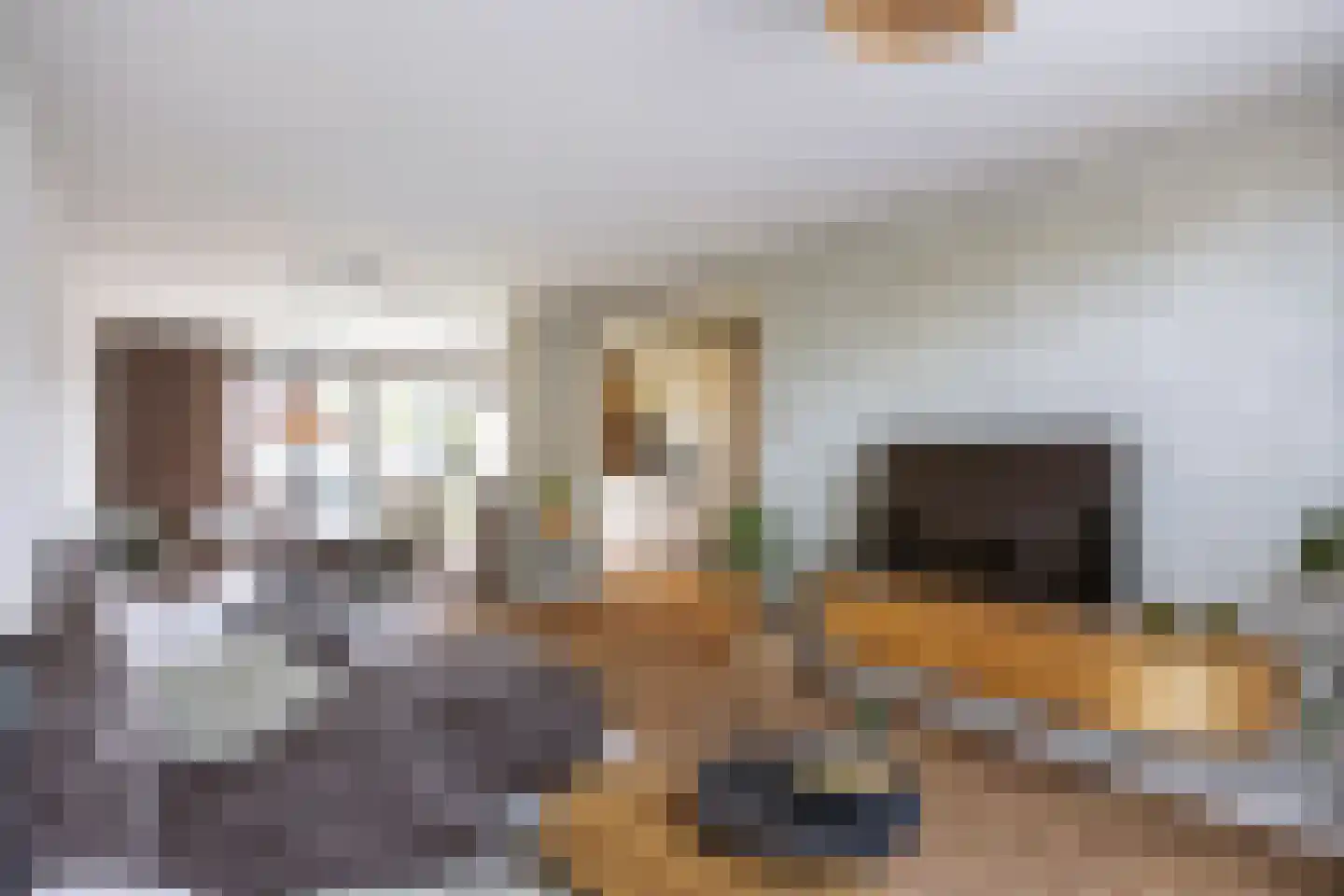 M H Trompstraat 3 Zuidhorn thumbnail 19