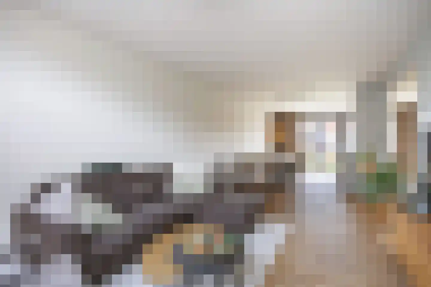 M H Trompstraat 3 Zuidhorn thumbnail 20