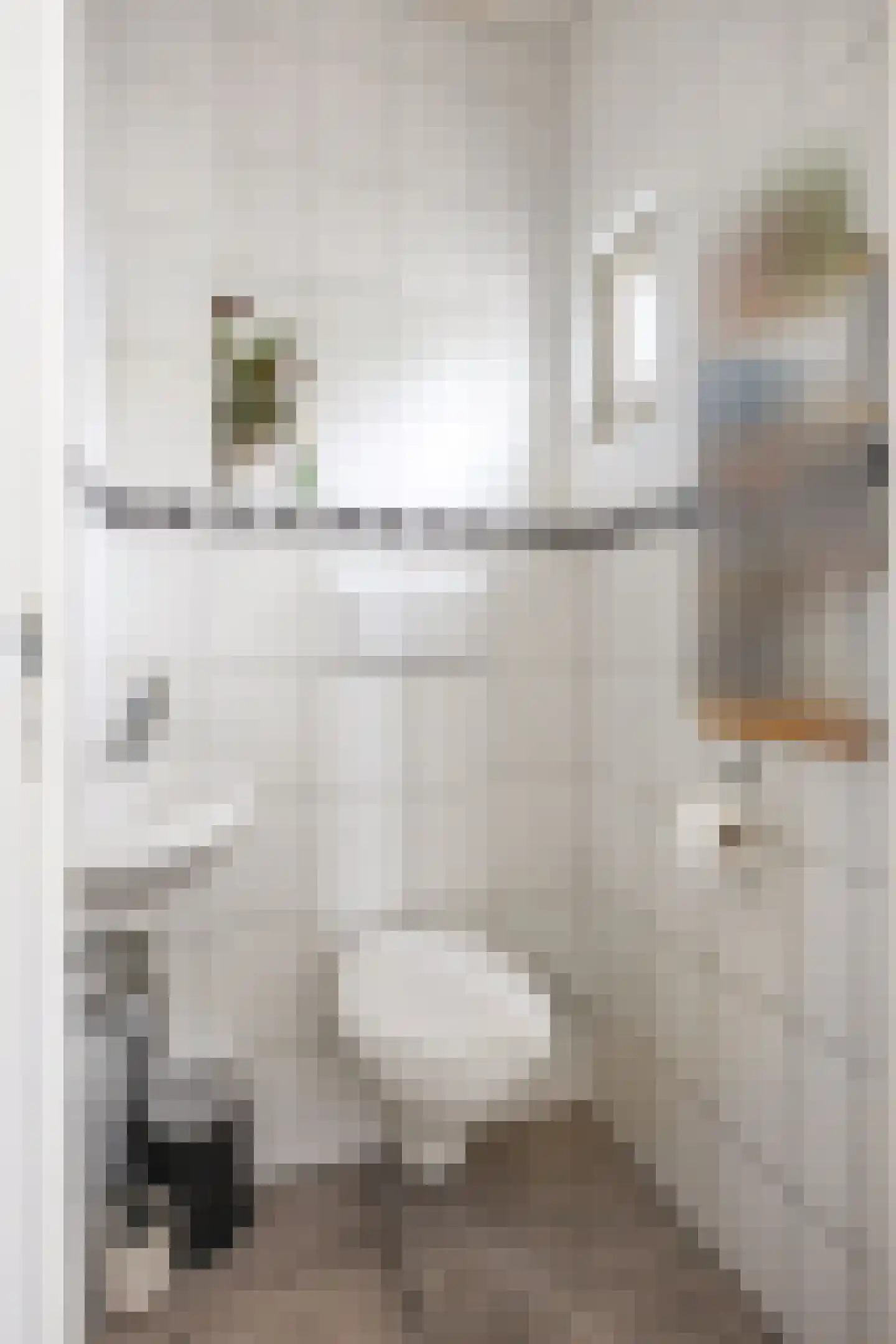 M H Trompstraat 3 Zuidhorn thumbnail 8