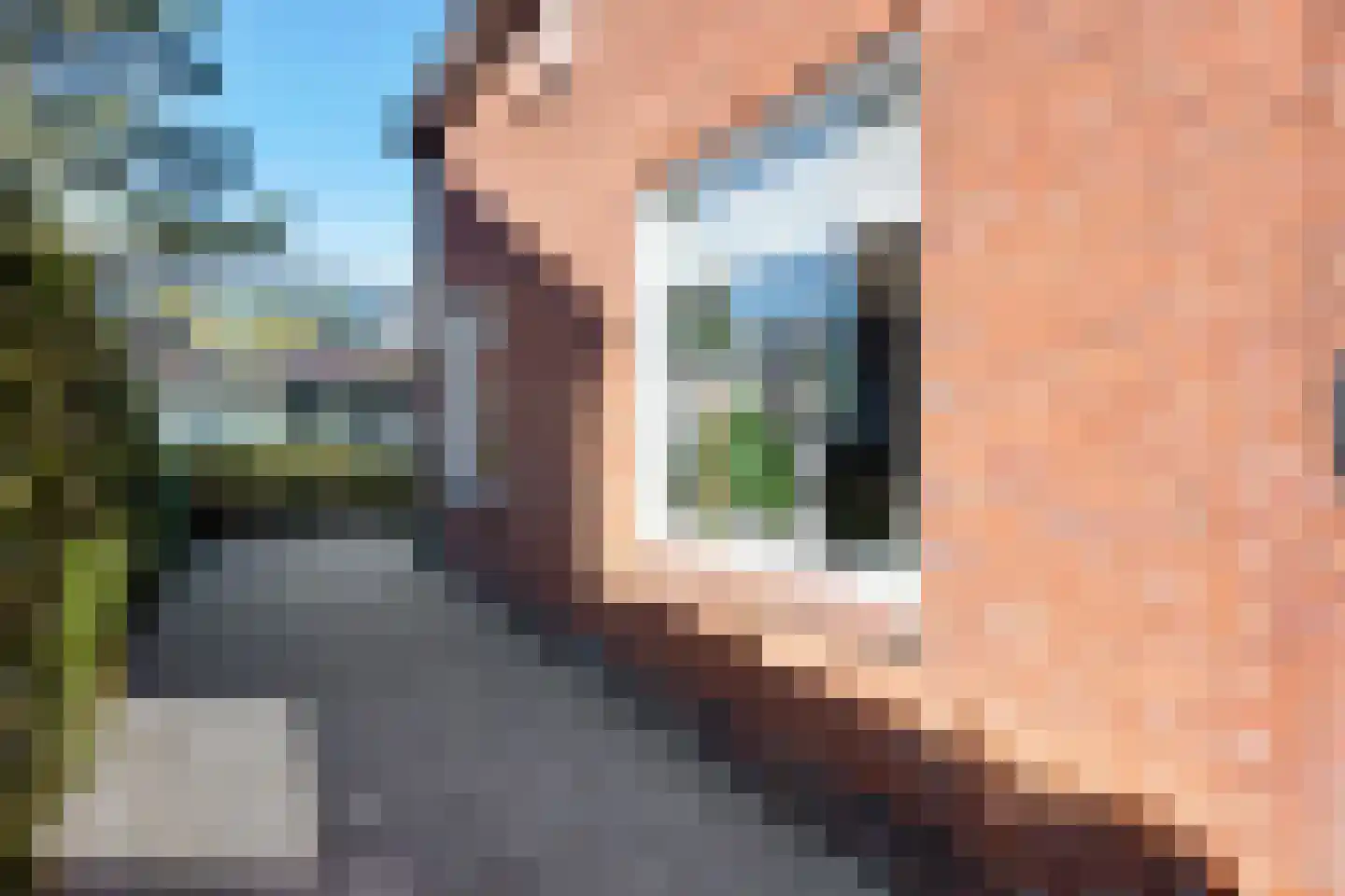 M.H. Trompstraat 30 Delfzijl thumbnail 19