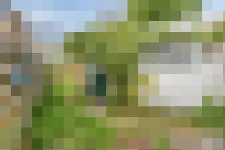 M.H.Trompstraat 33 Goes thumbnail 24