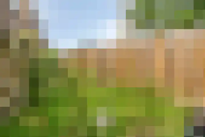 M.H.Trompstraat 33 Goes thumbnail 26