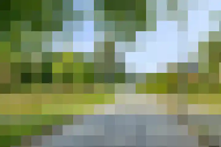 M. Hardenbergstraat 10 Wildervank thumbnail 44
