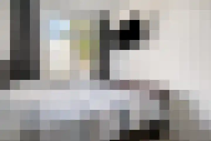 M. Harpertszoon Tromplaan 114 Oegstgeest thumbnail 25