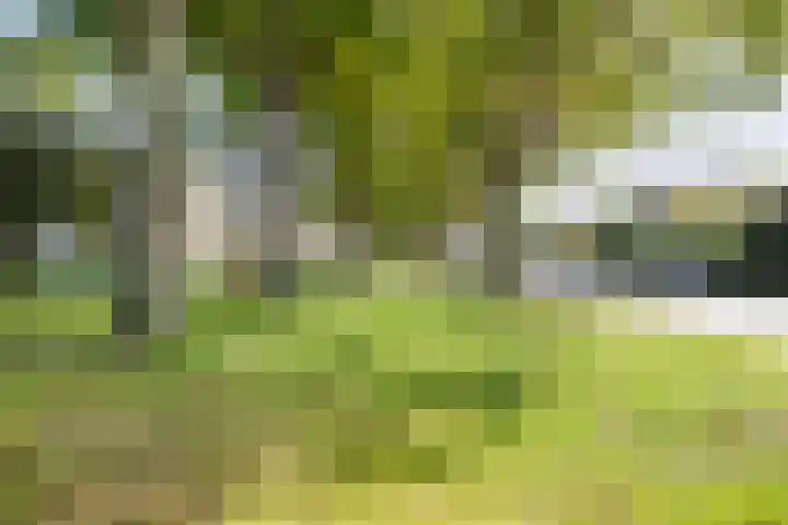 M. Harpertszoon Tromplaan 114 Oegstgeest thumbnail 29