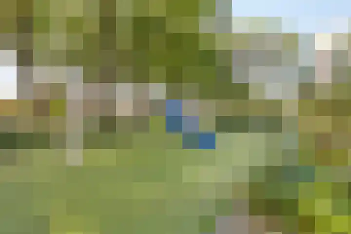 M. Harpertszoon Tromplaan 114 Oegstgeest thumbnail 30